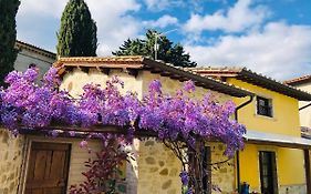 Il Cortile Delle Rose Holiday House